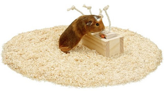 Flamingo f-5384344 - Jouet Brain train Armoire avec corde Brun clair