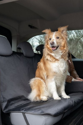 Flamingo f-60210 - Protège-siège de voiture Siège arrière Gris