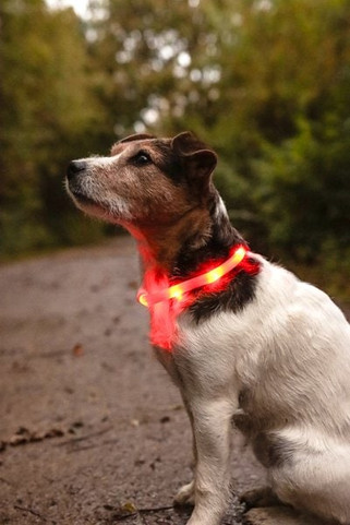 Flamingo f-64939 - Collier Nera