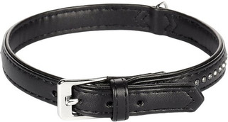 Flamingo f-67190 - Collier Rembourré