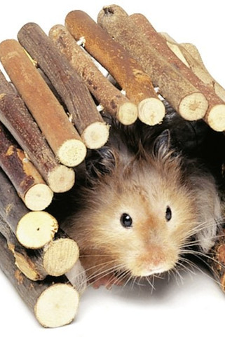 Flamingo f-84207 - Jouet Pont Brun