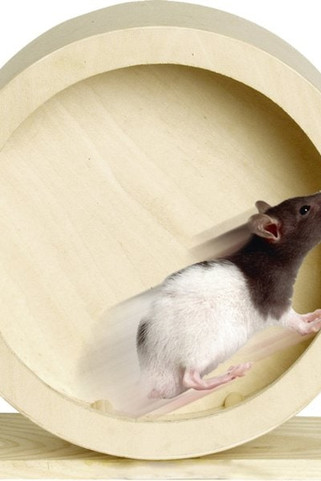 Flamingo f-84198 - Jouet Roue dexercice Brun clair