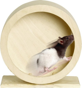 Flamingo f-84198 - Jouet Roue dexercice Brun clair