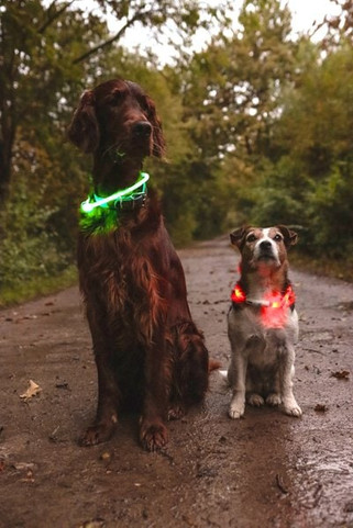 Flamingo f-519762 - Collier Leora