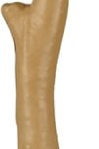 Flamingo f-519711 - Jouet Branche Brun clair