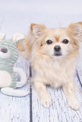 Flamingo f-520010 - Jouet Small Dog Lapin Ilva menthe