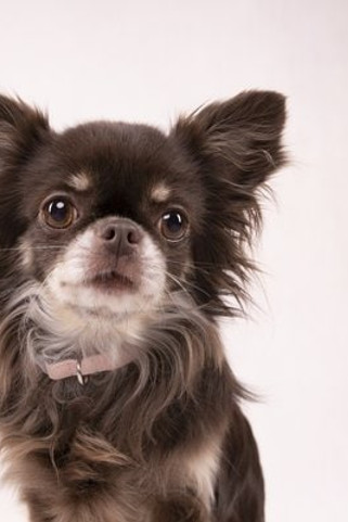 Flamingo f-519997 - Collier Vieux rose