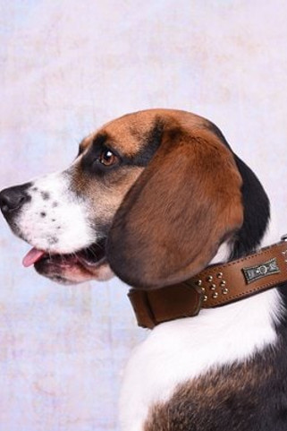 Flamingo f-520056 - Collier Rembourré Rempli