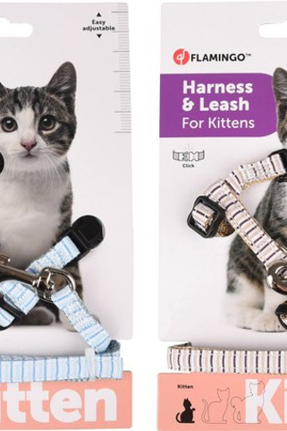 Flamingo f-561030 - Harnais avec laisse Chaton