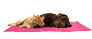 Flamingo f-520364 - Tapis rafraîchissant Rectangle Fuchsia