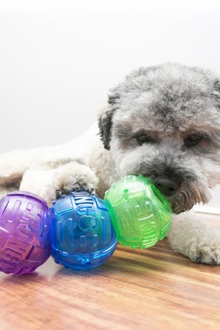 Kong® f-520480 - Kong® Jouet Balle