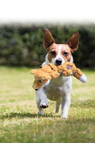 Kong® f-520476 - Kong® Jouet Scrunch Renard