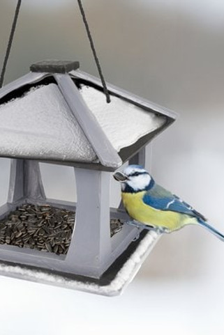 Flamingo f-110325 - Mangeoire pour oiseaux Maison