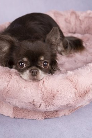 Flamingo f-521525 - Panier Ovale