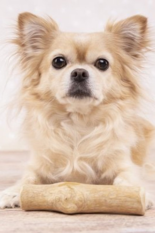 Flamingo f-521545 - Jouet Bâton Bois a mâcher clair