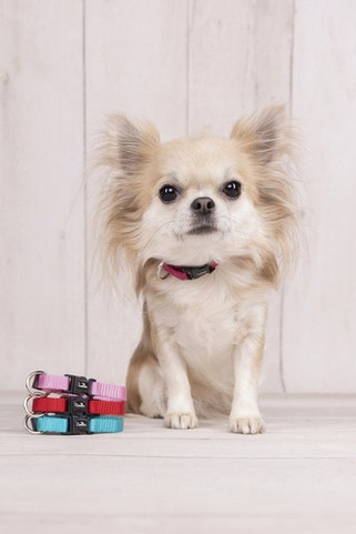 Flamingo f-521580 - Collier cérise