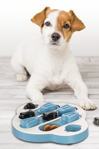 Flamingo f-521652 - Jouet Brain trainClyde Pétrol