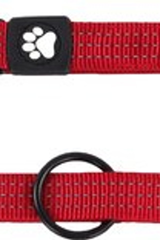 Flamingo f-521701 - Laisse dentraînement