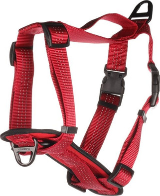 Flamingo f-521695 - Harnais Harnais H