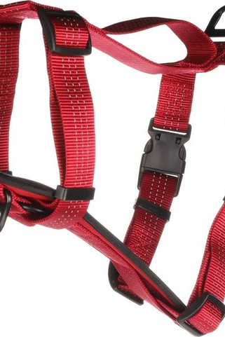 Flamingo f-521694 - Harnais Harnais H