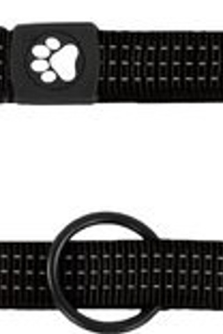 Flamingo f-521684 - Laisse dentraînement