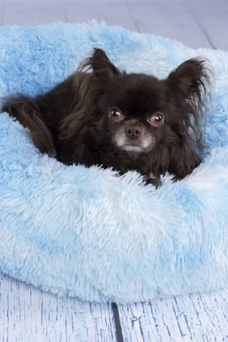 Flamingo f-521920 - Panier Rond