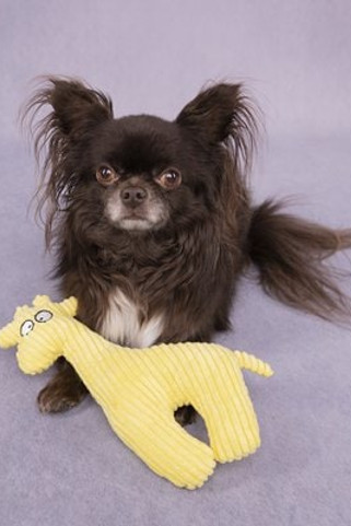 Flamingo f-521911 - Jouet Girafe