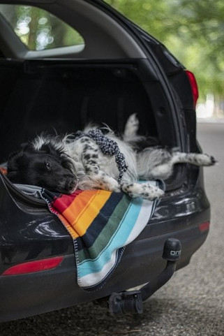 Flamingo f-521961 - Jouet Corde à tirer Noeud Twist