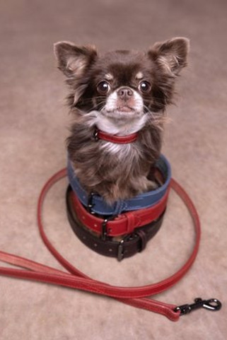 Flamingo f-522893 - Collier