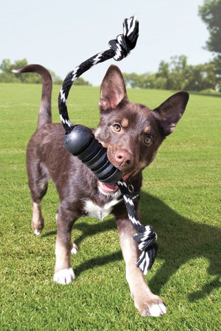 Kong® f-523029 - Kong® Jouet