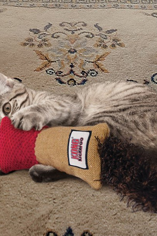 Kong® f-561513 - Kong® Jouet Coussin