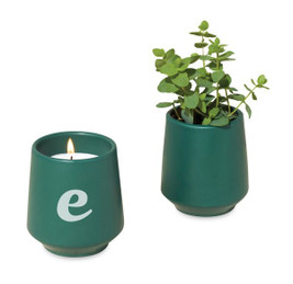 Modern Sprout 101462 - Vela Enraizada