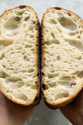 Gourmet Expressions 102793 - FarmSteady Sourdough Bread Winner Kit