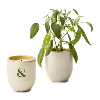 Modern Sprout 102808 - Garden Vibes Candle/Planter