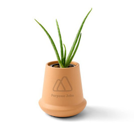 Modern Sprout 103086 - Modern Terracotta Grow Kit Aloe