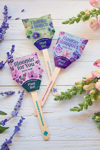 Modern Sprout 103175 - Flower Seed Pop