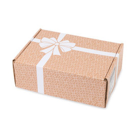 Gemline P978 - Caja de envío mediana