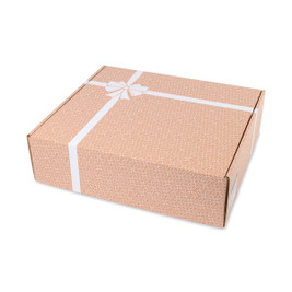 Gemline P981 - Extra Large Box Mailer