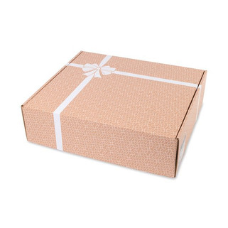 Gemline P981 - Extra Large Box Mailer