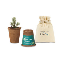 Modern Sprout 100714 - One For One Tree Kits