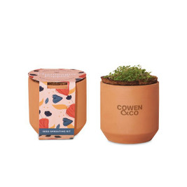 Modern Sprout 100900 - Tiny Terracotta Grow Kit Champagne Poppies