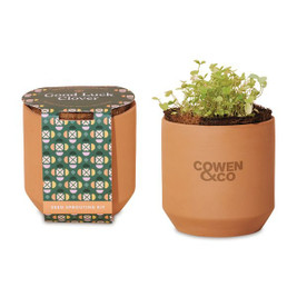 Modern Sprout 100901 - Tiny Terracotta Grow Kit Good Luck Clover