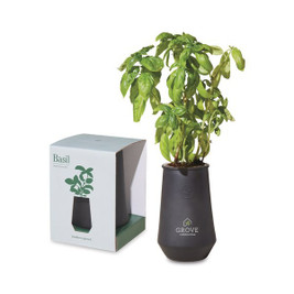Modern Sprout 100929 - Tapered Tumbler Grow Kit