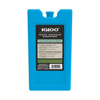 Igloo 100952 - Ice Block - Medium