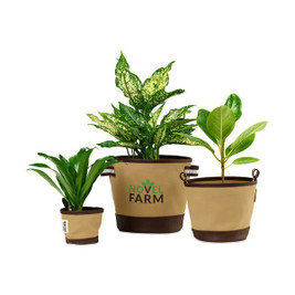 Heritage Supply 101205 - ™ Plantar, cultivar y almacenar trío de macetas